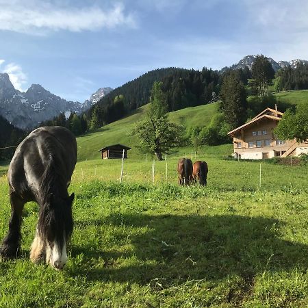 Au Pre Des Chevaux Bed & Breakfast Chateau-d'Oex Ngoại thất bức ảnh