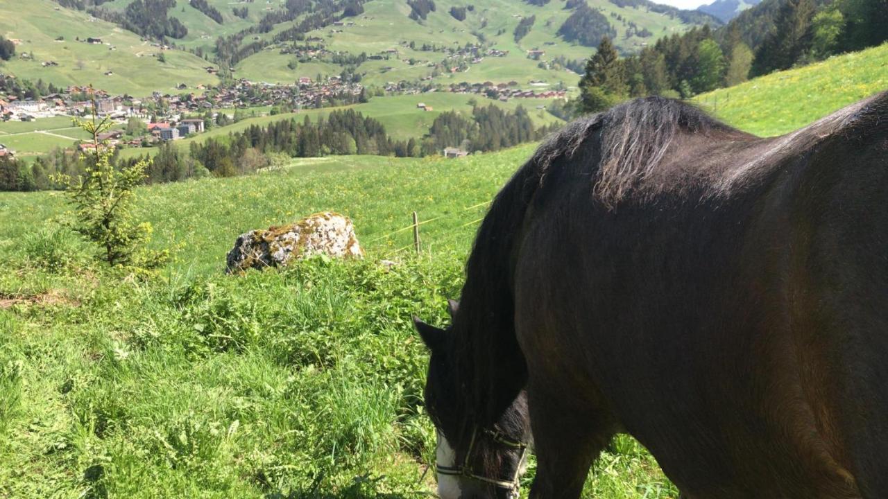 Au Pre Des Chevaux Bed & Breakfast Chateau-d'Oex Ngoại thất bức ảnh