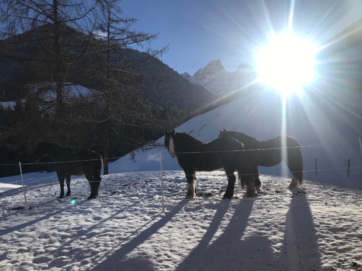 Au Pre Des Chevaux Bed & Breakfast Chateau-d'Oex Ngoại thất bức ảnh