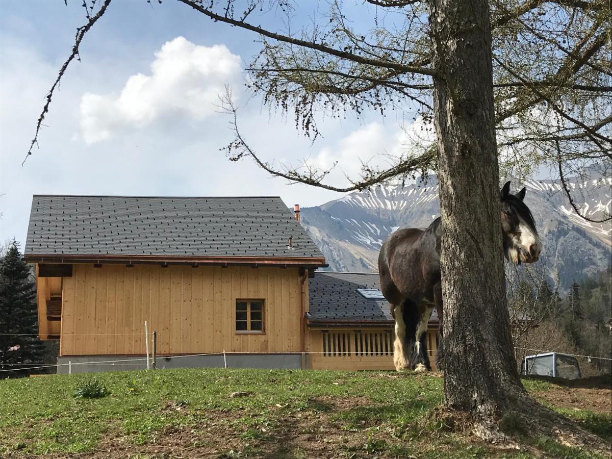 Au Pre Des Chevaux Bed & Breakfast Chateau-d'Oex Ngoại thất bức ảnh